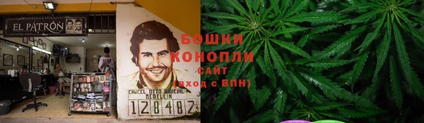 шишки Барнаул