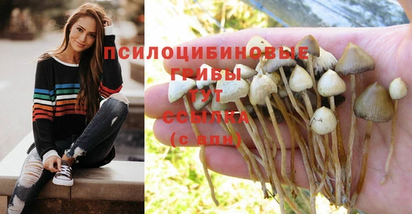 mix Лагань