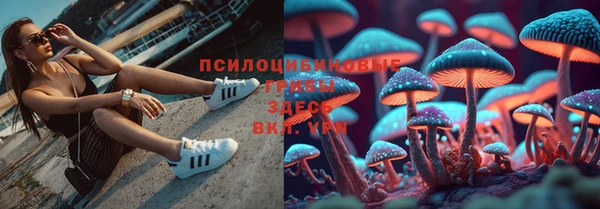 метадон Лабытнанги